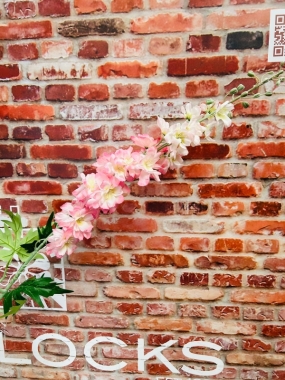 Pink Delphinium Large