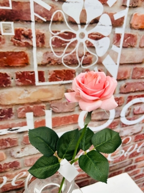 Pink Rose Small