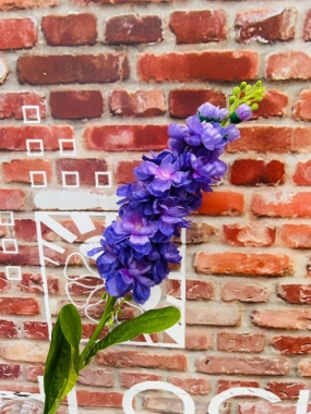 Purple Stock