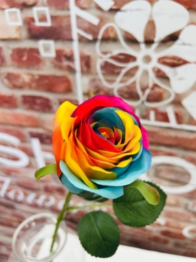 Rainbow Rose