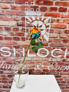 Rainbow Rose