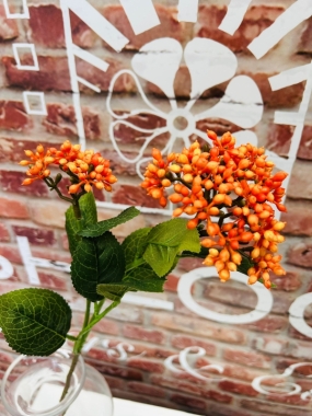 Seedum Spray