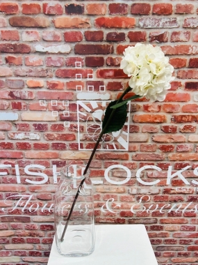 White Hydrangea Lagrge