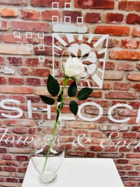 White Rose