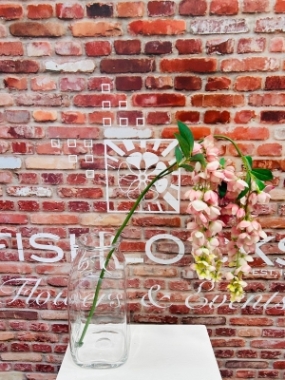 Wisteria Pink