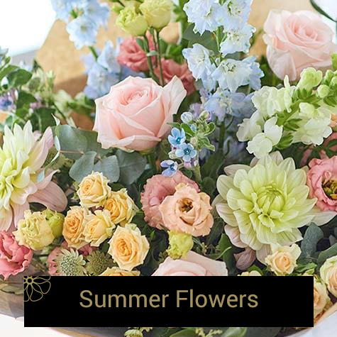 Spring flowers