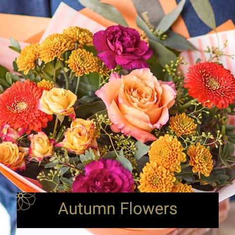 Autumn flowers
